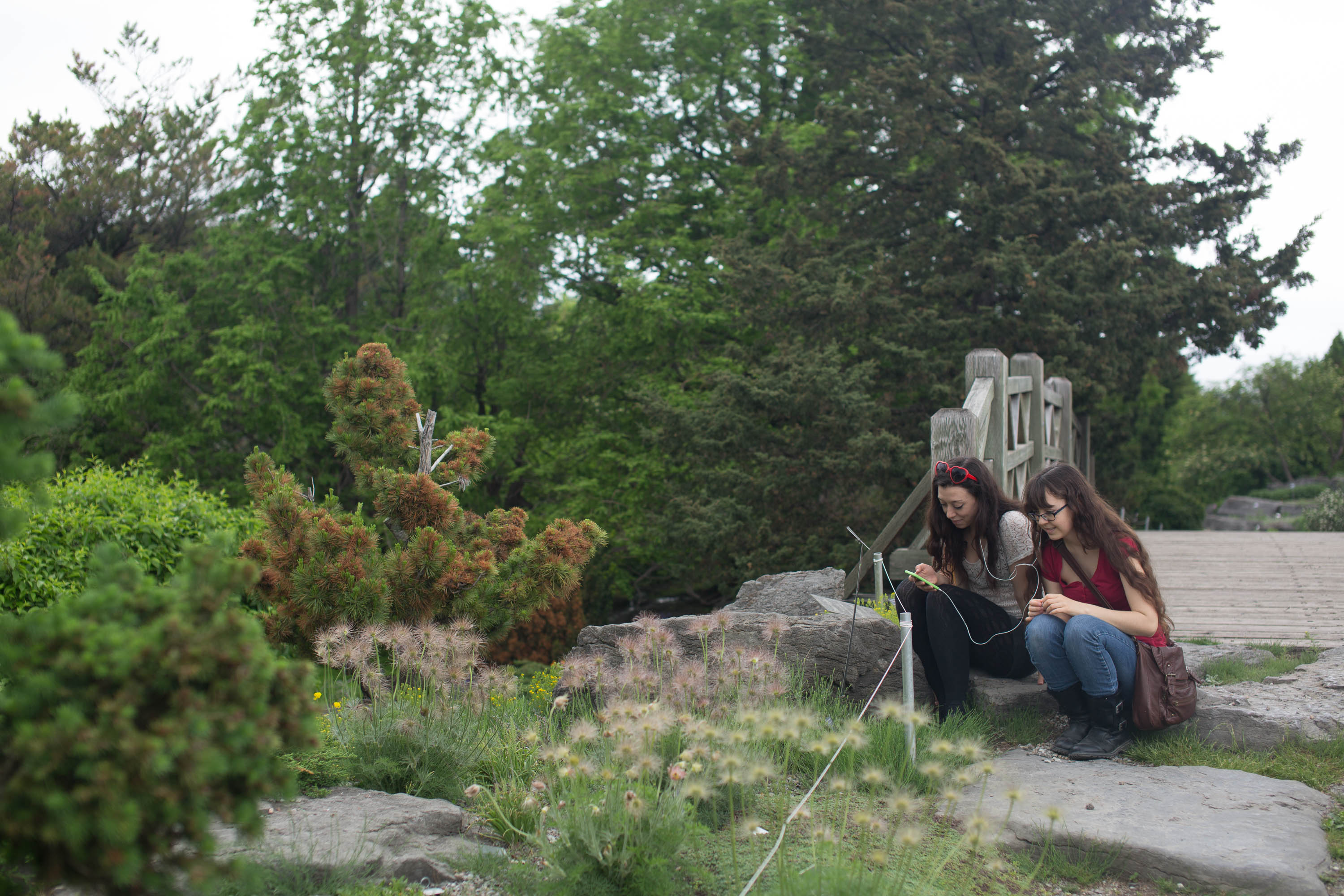 Users collect a plant specimen (Photos courtesy Mattias Graham.)